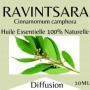 10793 - Huiles essentielles Ravintsara - 10 ml