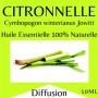 10797 - Huiles essentielles citronnelle - 10 ml