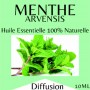 10801 - Huiles essentielles menthe arvensis - 10 ml