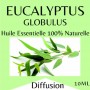 10812 - Huiles essentielles Eucalyptus - 10 ml